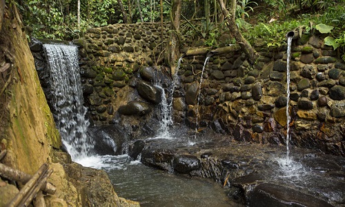 bosque protegido_ideas peru
