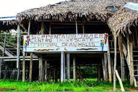serpentario-iquitos